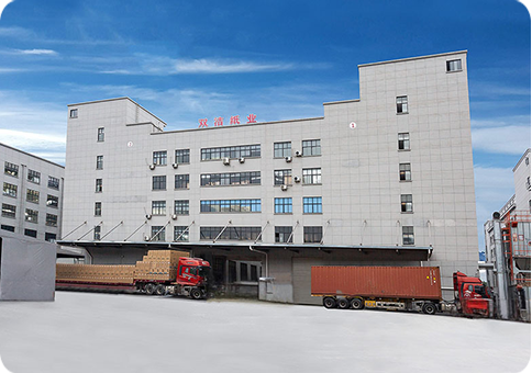 Nosso site está online